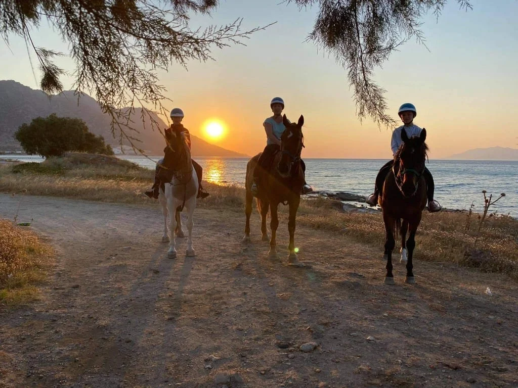 Gallery image for Sunrise Beach Horse Ride – A Magical Start to Your Day